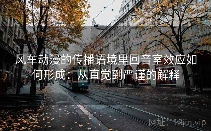 风车动漫的传播语境里回音室效应如何形成：从直觉到严谨的解释