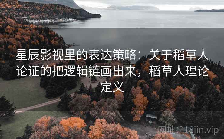 星辰影视里的表达策略：关于稻草人论证的把逻辑链画出来，稻草人理论定义
