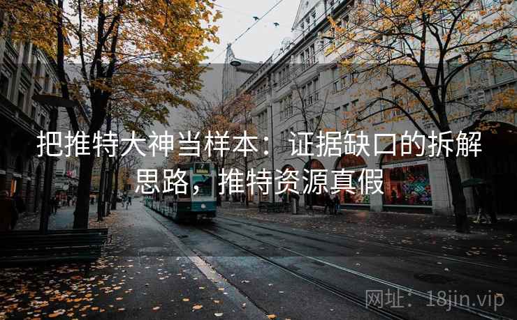 把推特大神当样本：证据缺口的拆解思路，推特资源真假