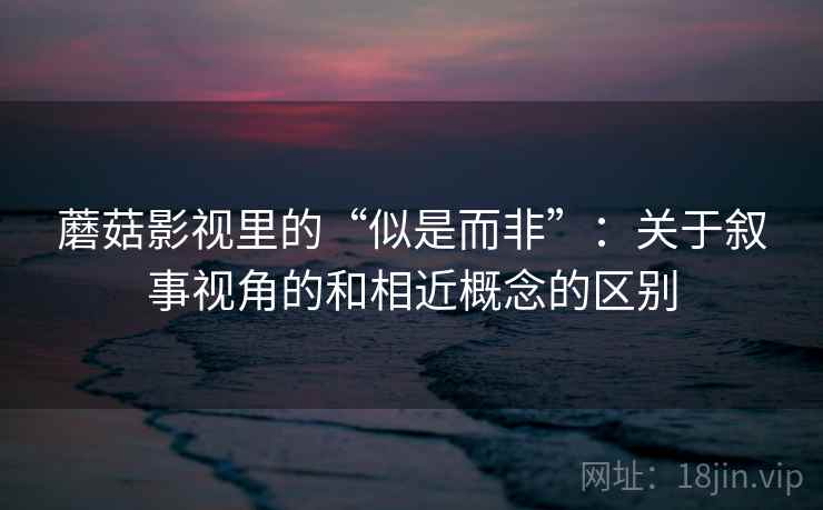 蘑菇影视里的“似是而非”：关于叙事视角的和相近概念的区别