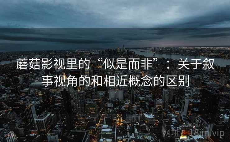 蘑菇影视里的“似是而非”：关于叙事视角的和相近概念的区别