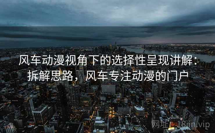 风车动漫视角下的选择性呈现讲解：拆解思路，风车专注动漫的门户