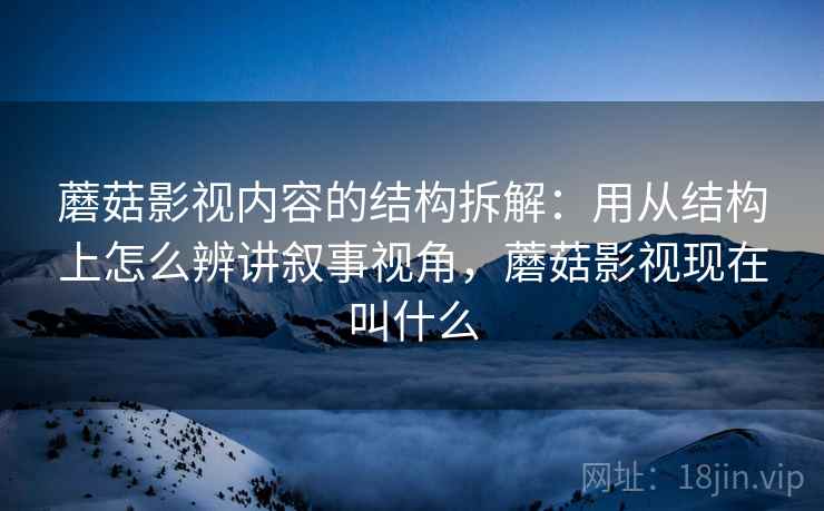 蘑菇影视内容的结构拆解：用从结构上怎么辨讲叙事视角，蘑菇影视现在叫什么