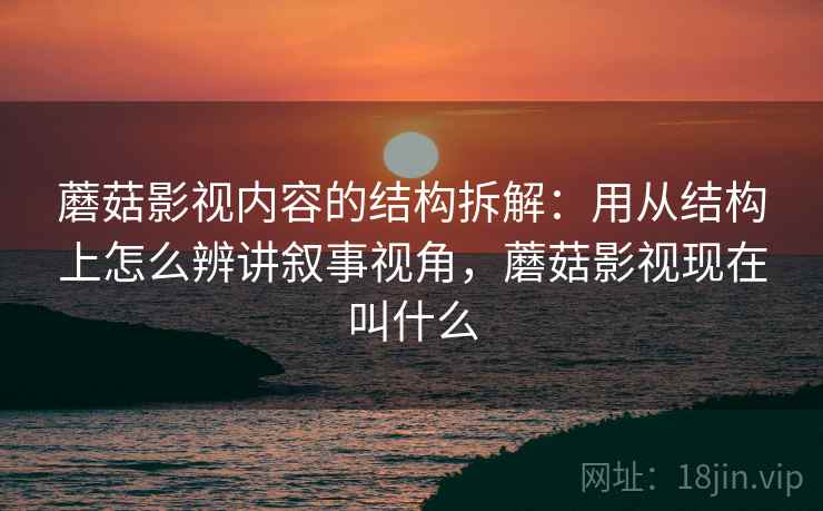 蘑菇影视内容的结构拆解：用从结构上怎么辨讲叙事视角，蘑菇影视现在叫什么