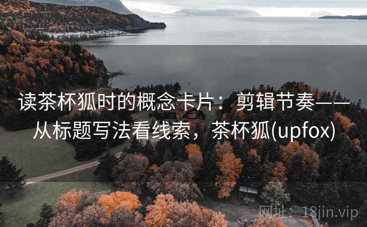 读茶杯狐时的概念卡片：剪辑节奏——从标题写法看线索，茶杯狐(upfox)