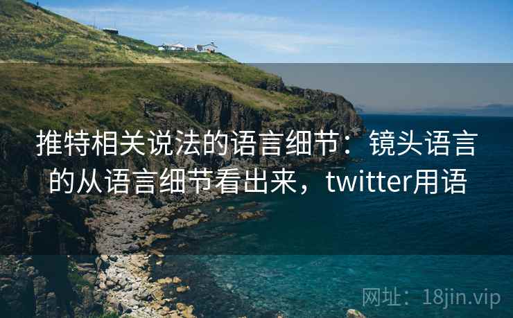推特相关说法的语言细节：镜头语言的从语言细节看出来，twitter用语