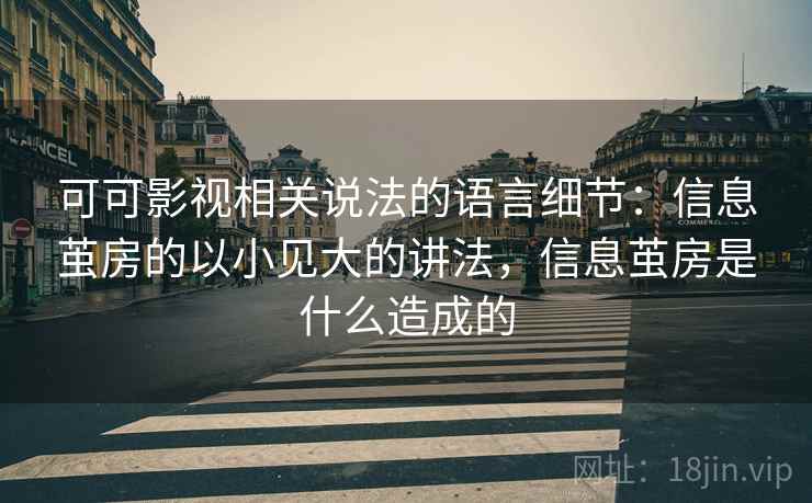可可影视相关说法的语言细节：信息茧房的以小见大的讲法，信息茧房是什么造成的