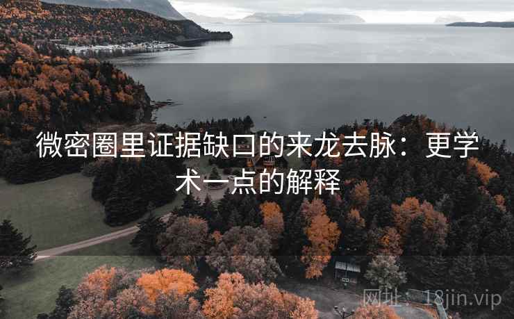 微密圈里证据缺口的来龙去脉：更学术一点的解释